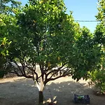 Sakkatos 3* Dhavgáta