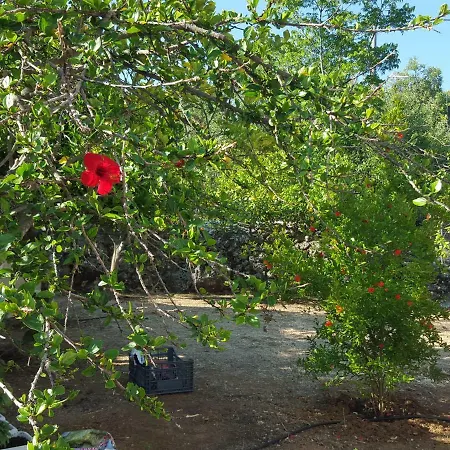 Sakkatos Apart-hotel